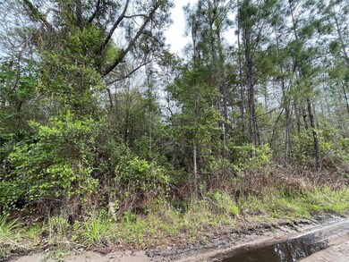 0 Kola Rd unit O6015271, New Smyrna Beach, FL 32168 - photo 4