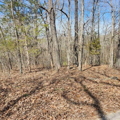 L-10, B-26 White Dove Ln, Cherokee Village, AR 72529 - photo 6