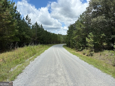 0 Black Creek Rd, Gordon, GA 31031 - photo 7