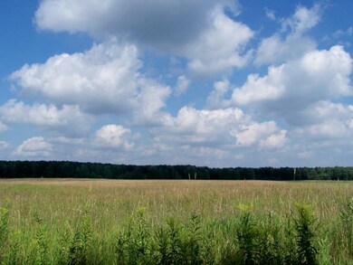 View from Mt. Jack Road