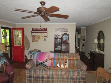 4606 Georgia 65, Pelham, GA 31779 - photo 5