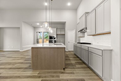 32204 Yaupon Bramble Ln, Conroe, TX 77385 - photo 7