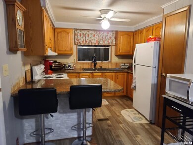 2100 Grape St, Harrisburg, IL 62946 - photo 4