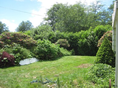 Front yard