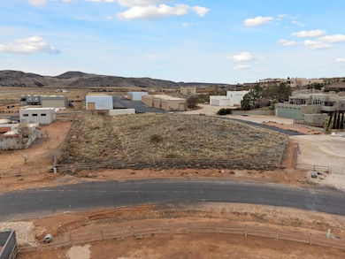 lot 70 pic 3
