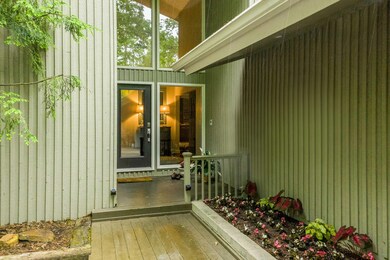 416_Fern_Tr_07