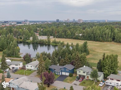 Pond view