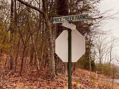 0 Bull Gap Rd unit 120310, Jasper, GA 30143 - photo 6