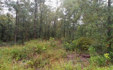 0 286 Th Terrace unit 109003, Branford, FL 32008 - photo 2