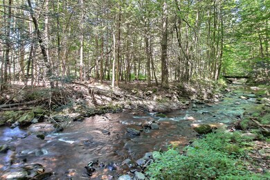 131 Ski Haven Dr, Cresco, PA 18326 - photo 6