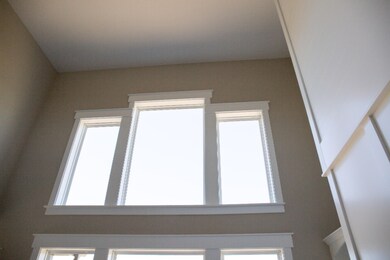 lots of natural light