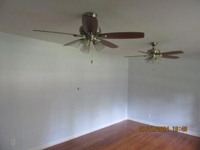 Picture5