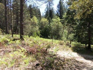 Partially Fenced Clearing Area