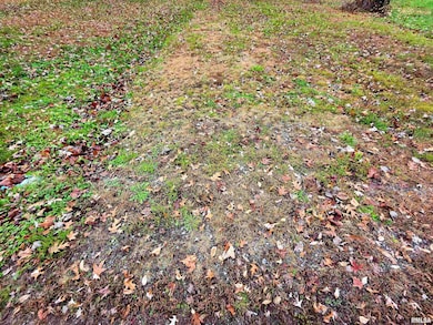 101 S Watkins St, Cisne, IL 62823 - photo 3