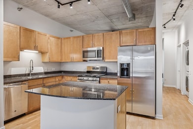 River Village Lofts unit 1002, Chicago, IL 60654 - photo 7