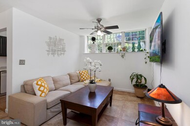 11 46th St SE unit B1, Washington, DC 20019 - photo 2