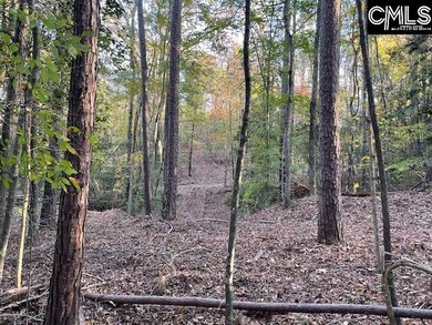 1620 Washington Lever Rd, Little Mountain, SC 29075 - photo 4