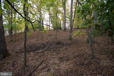 9921 Woodrow St, Vienna, VA 22181 - photo 5