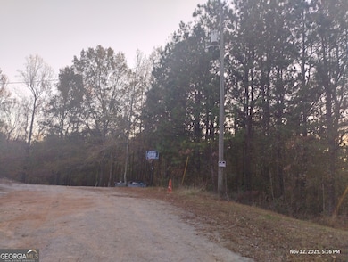 703 Central High Rd, Carrollton, GA 30116 - photo 3