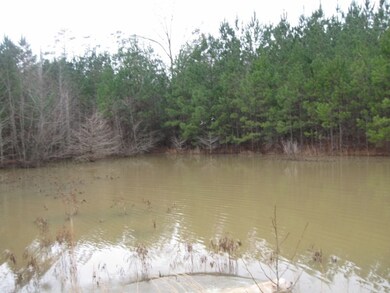 1160 Conerly Dr, McComb, MS 39648 - photo 6