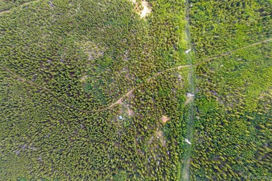 0 Lamartine Rd unit REC1819231, Idaho Springs, CO 80452 - photo 3