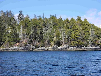 NHN: C-2RB Long Island, Sitka, AK 99835 - photo 2