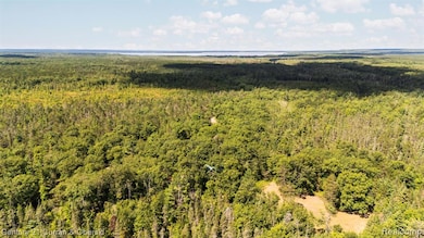 Bird's eye view of a heavily wooded area