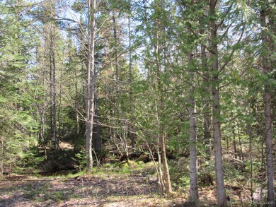 TBD Off Rice Lake Rd unit No Drive Bys, Lake Linden, MI 49945 - photo 6