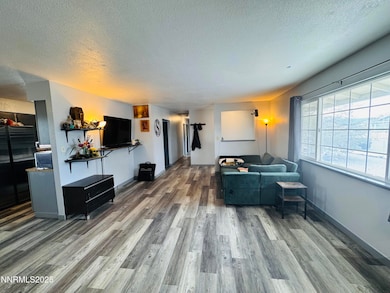 255 Sandia Dr, Fernley, NV 89408 - photo 6