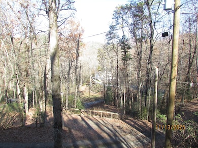 2385 Road 4748, Hiawassee, GA 30546 - photo 2