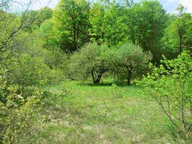 4939 Underpass Rd, Sutton, VT 05867 - photo 2