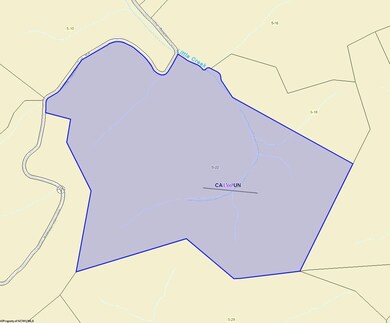 Parcel 22 Little Rowels Run, Creston, WV 26141 - photo 4