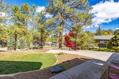 4449 E Moonshadow Ln, Flagstaff, AZ 86004 - photo 5