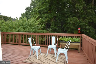 613 Trout Run Ct, Odenton, MD 21113 - photo 5