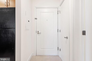 Potomac Place Tower unit S303, Washington, DC 20024 - photo 4