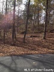 520 Floyd Ackert Rd, New Paltz, NY 12561 - photo 4