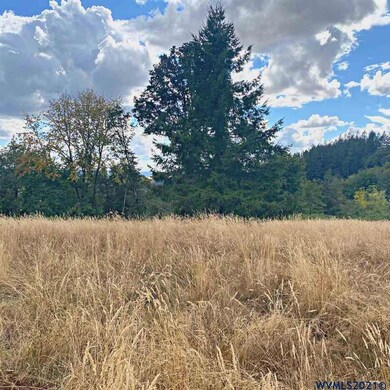 42820 Mount Pleasant (Next To 2) Dr, Scio, OR 97374 - photo 5