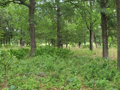 27129 Whispering Meadow Dr, Whitney, TX 76692 - photo 4