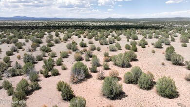 7 Aerial_SE Corner_edited