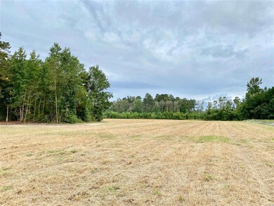 TBD Wise Farm Rd unit Parcel C, Aynor, SC 29511 - photo 2