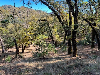 5290 Butler Ranch Rd, Ukiah, CA 95482 - photo 3