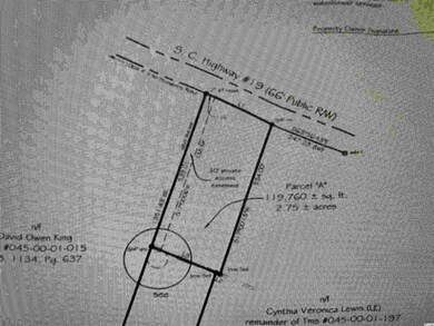 2.8 W Highway 19, Loris, SC 29569 - photo 6