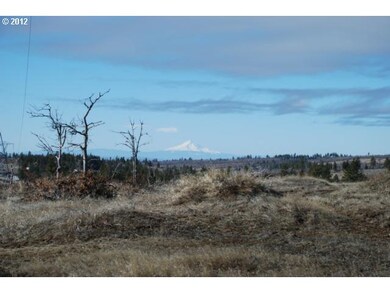 0 Bickleton Hwy unit 17 12542103, Bickleton, WA 99322 - photo 7