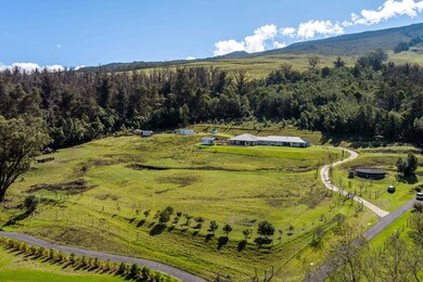 569 Hapapa Rd, Kula, HI 96790 - photo 5