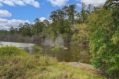 117 Summerfield Dr, Lexington, SC 29072 - photo 7