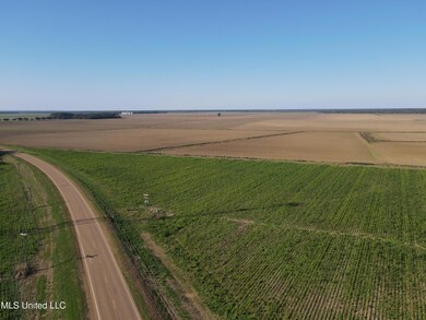 Photo Nov 11 2024, 9 25 56 AM