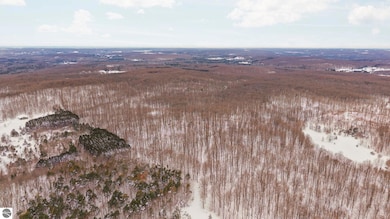 00 Stark Rd unit 17, Mancelona, MI 49659 - photo 3