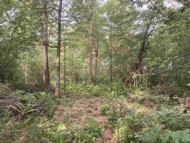 60 Acres 22nd St, Cutler, WI 54618 - photo 6