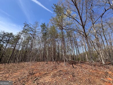 0 Highway 129 N unit 10656269, Cleveland, GA 30528 - photo 3