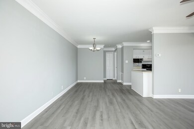 3706 N Rosser St unit 204, Alexandria, VA 22311 - photo 5